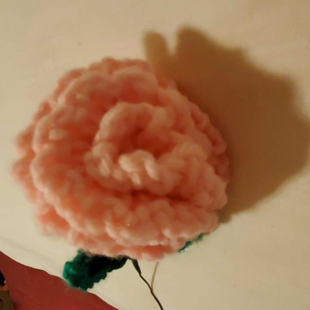 Crochet Rose's and Carnations - Picture 4 of 4